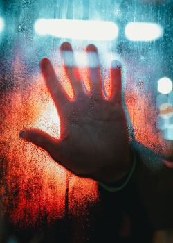 Risk Management and your business